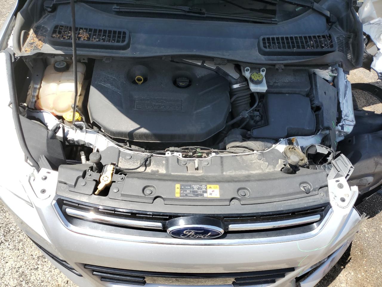 2013 FORD ESCAPE SEL