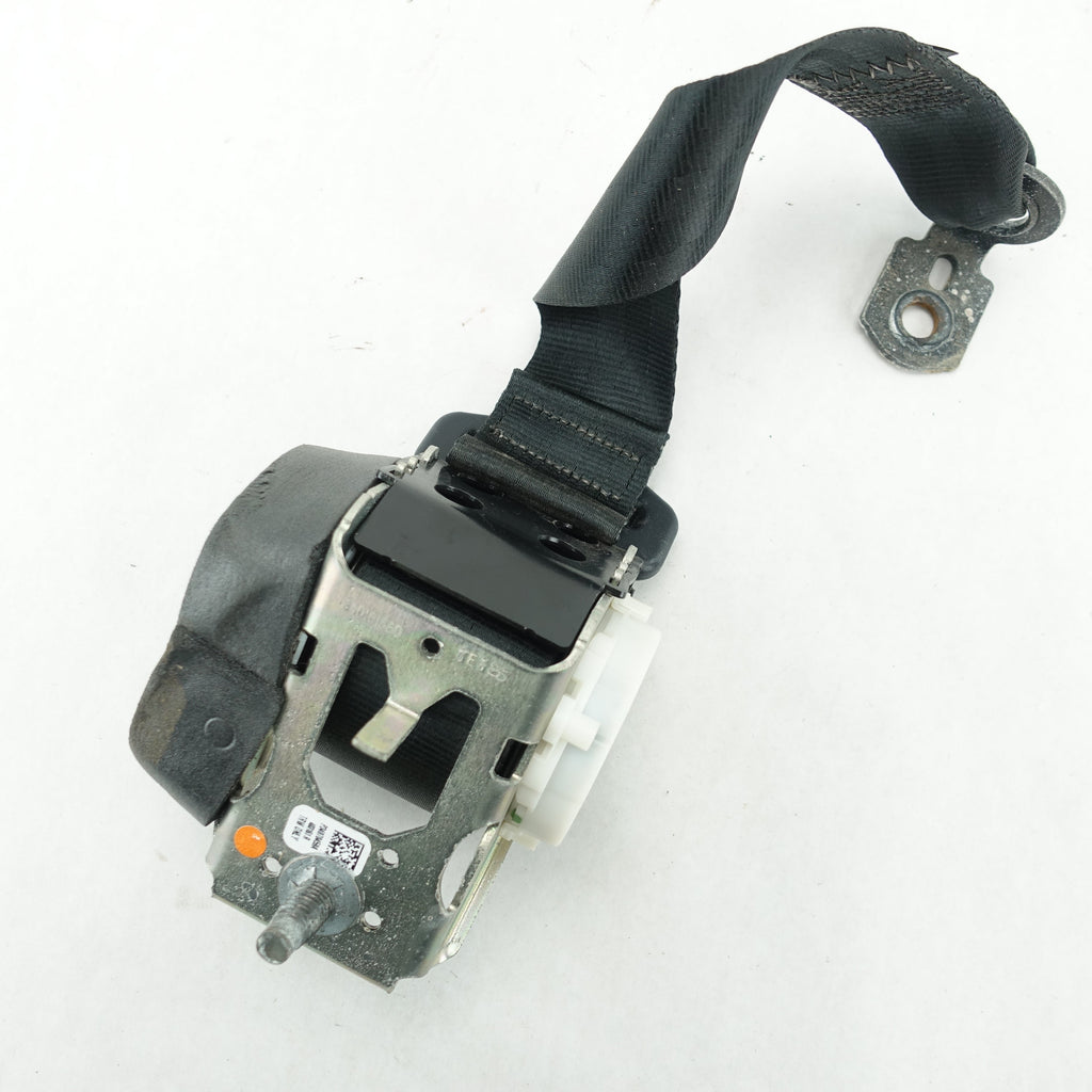 2015 2016 2017 2018 Ford Focus Hatchback Right Rear Seat Belt Black