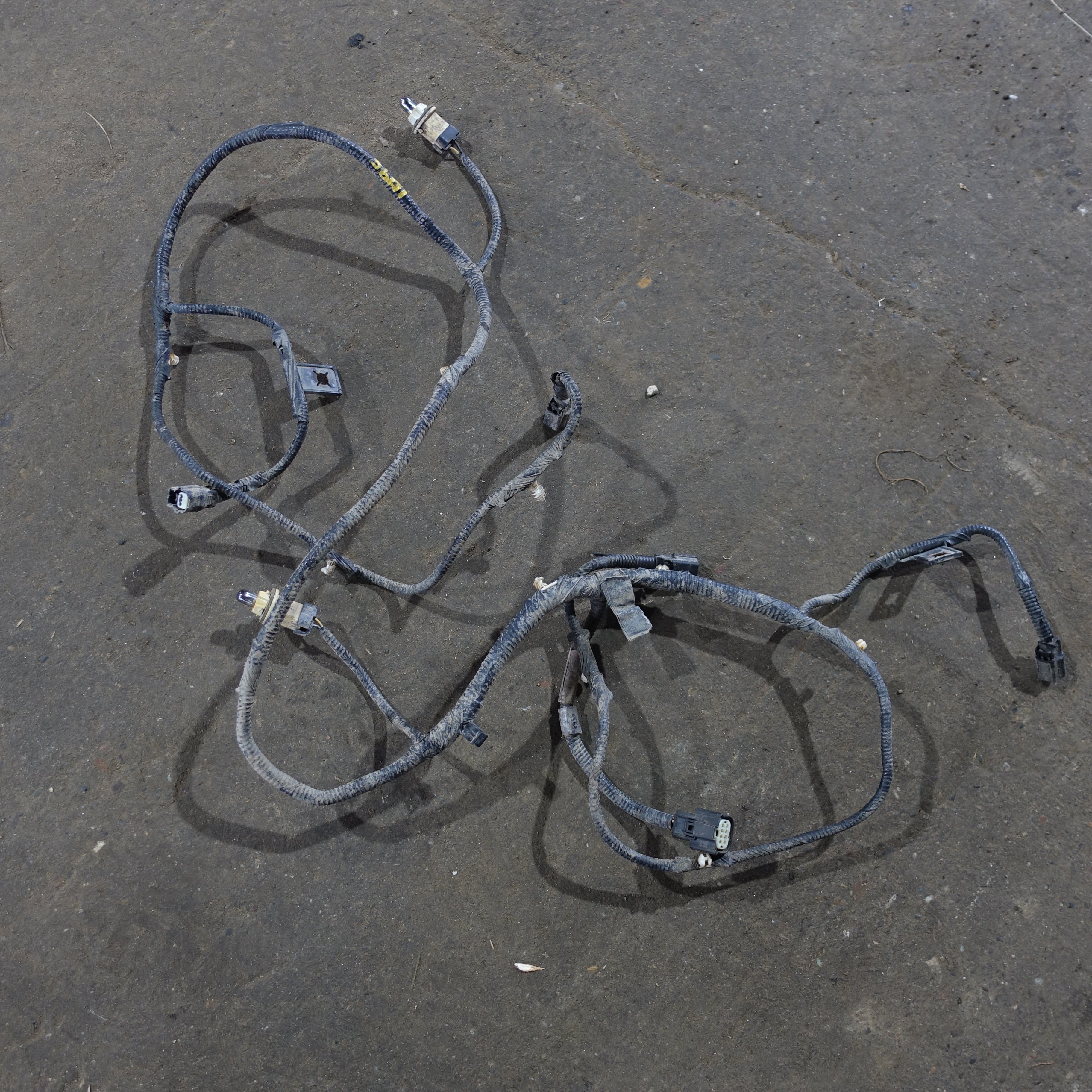 2015 2016 Ford F250 F350 Rear Bumper License Light Wire Harness Loom