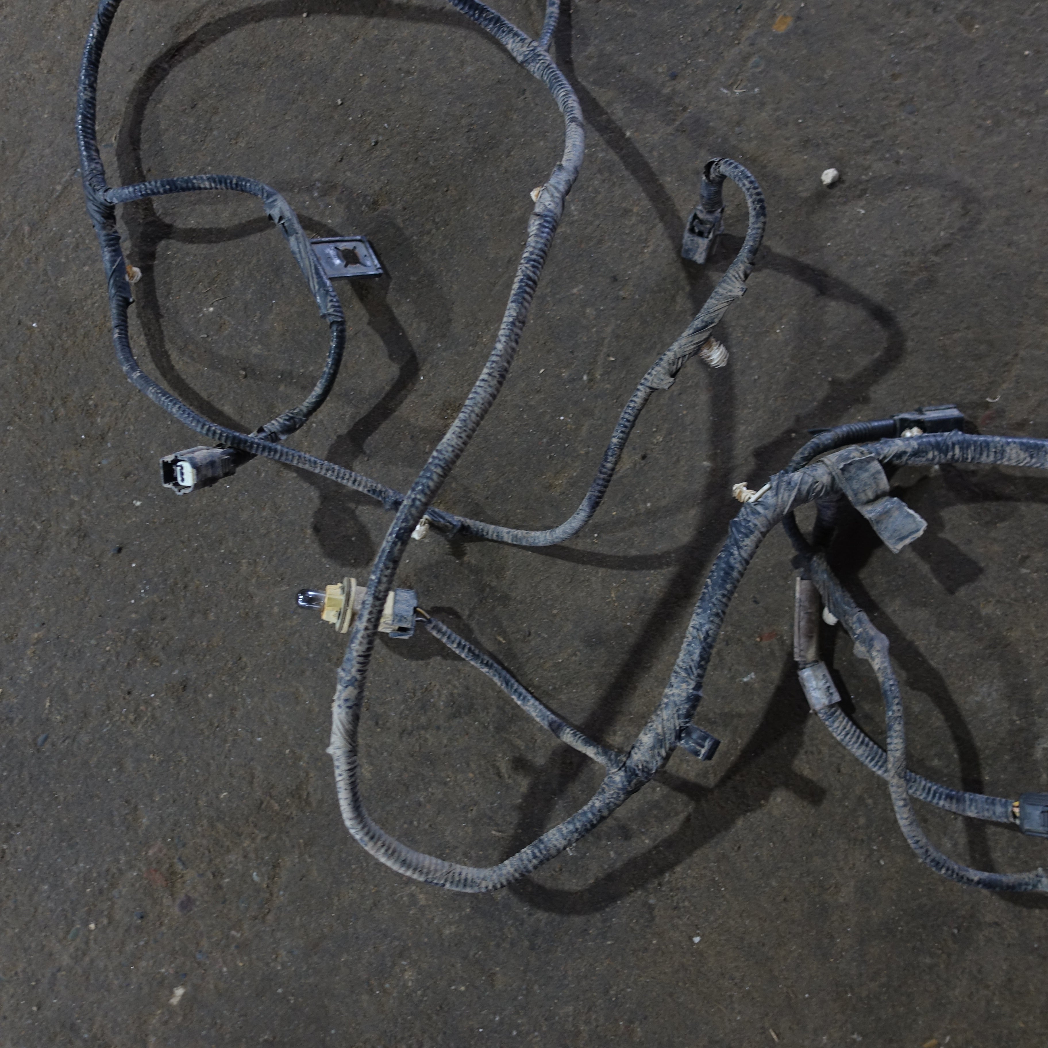 2015 2016 Ford F250 F350 Rear Bumper License Light Wire Harness Loom