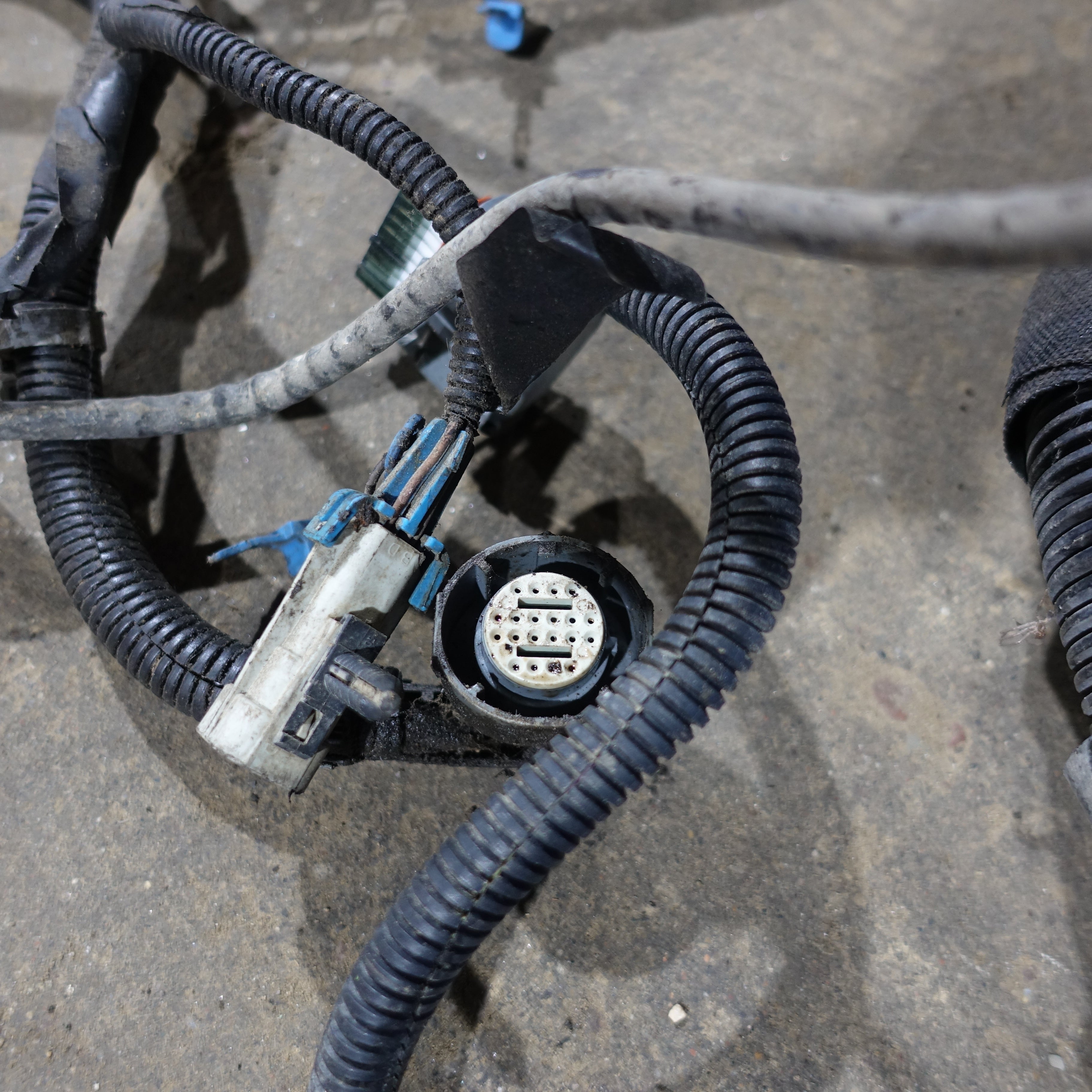 2003 Silverado Sierra 1500 HD 6.0L Engine Wire Harness Loom