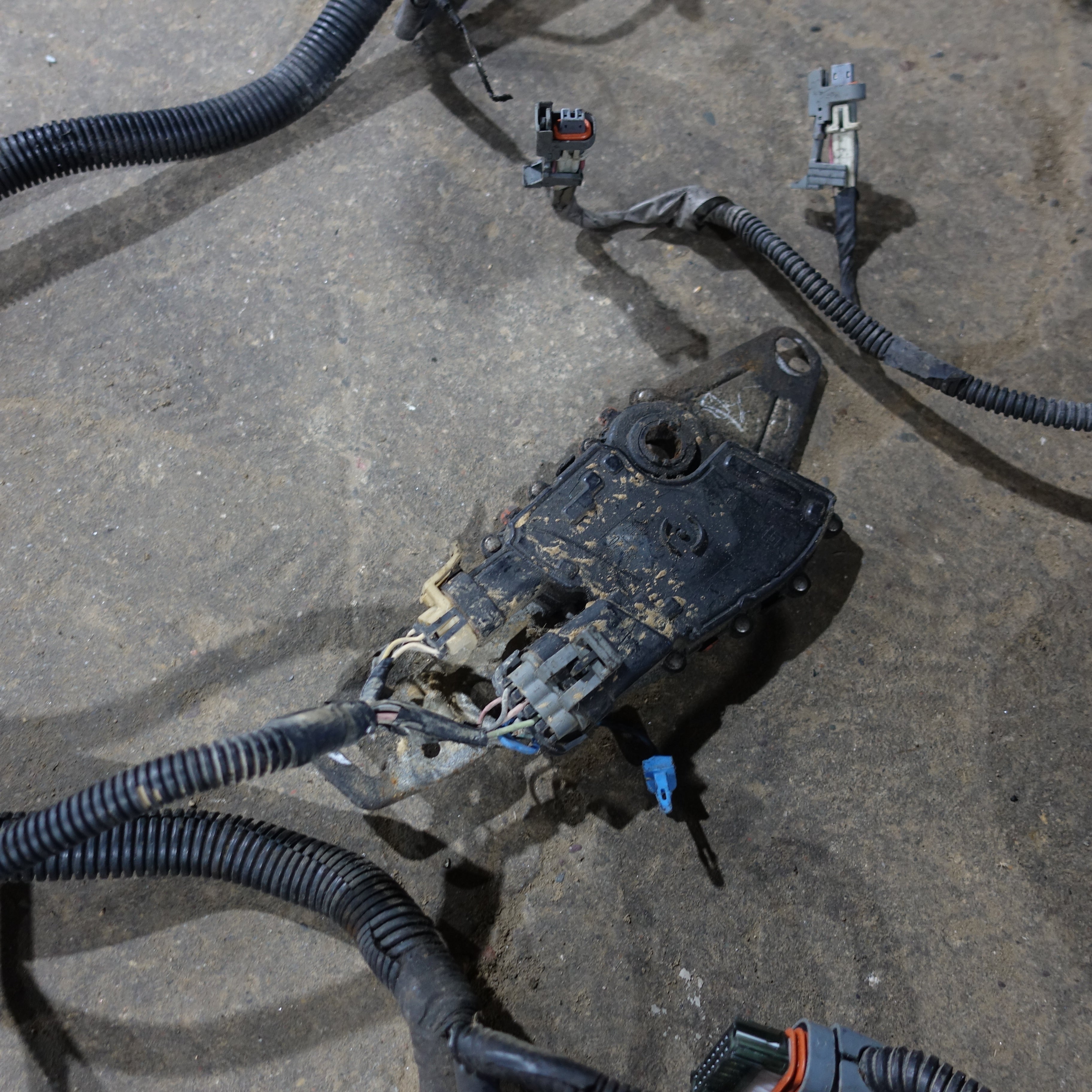 2003 Silverado Sierra 1500 HD 6.0L Engine Wire Harness Loom