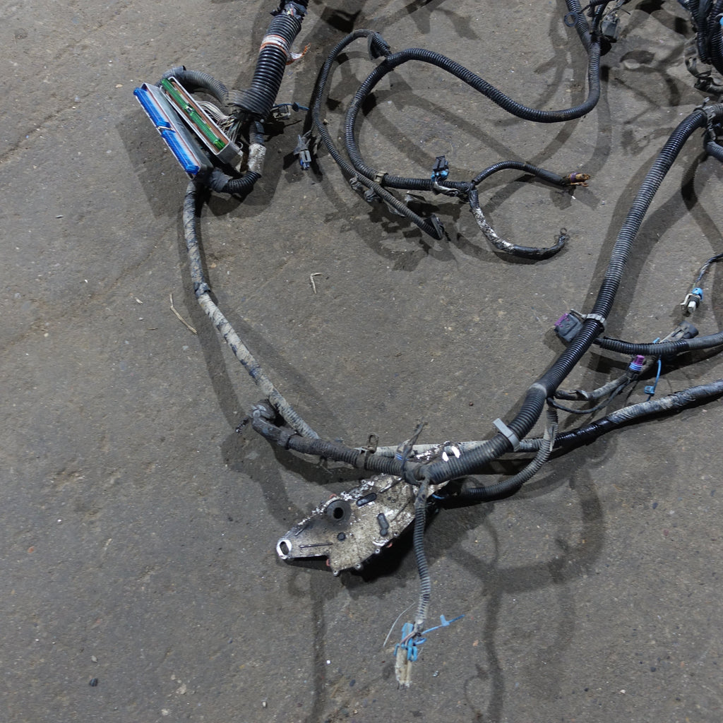 Damage 2003 Silverado Sierra 1500 HD 6.0L Engine Wire Harness Loom