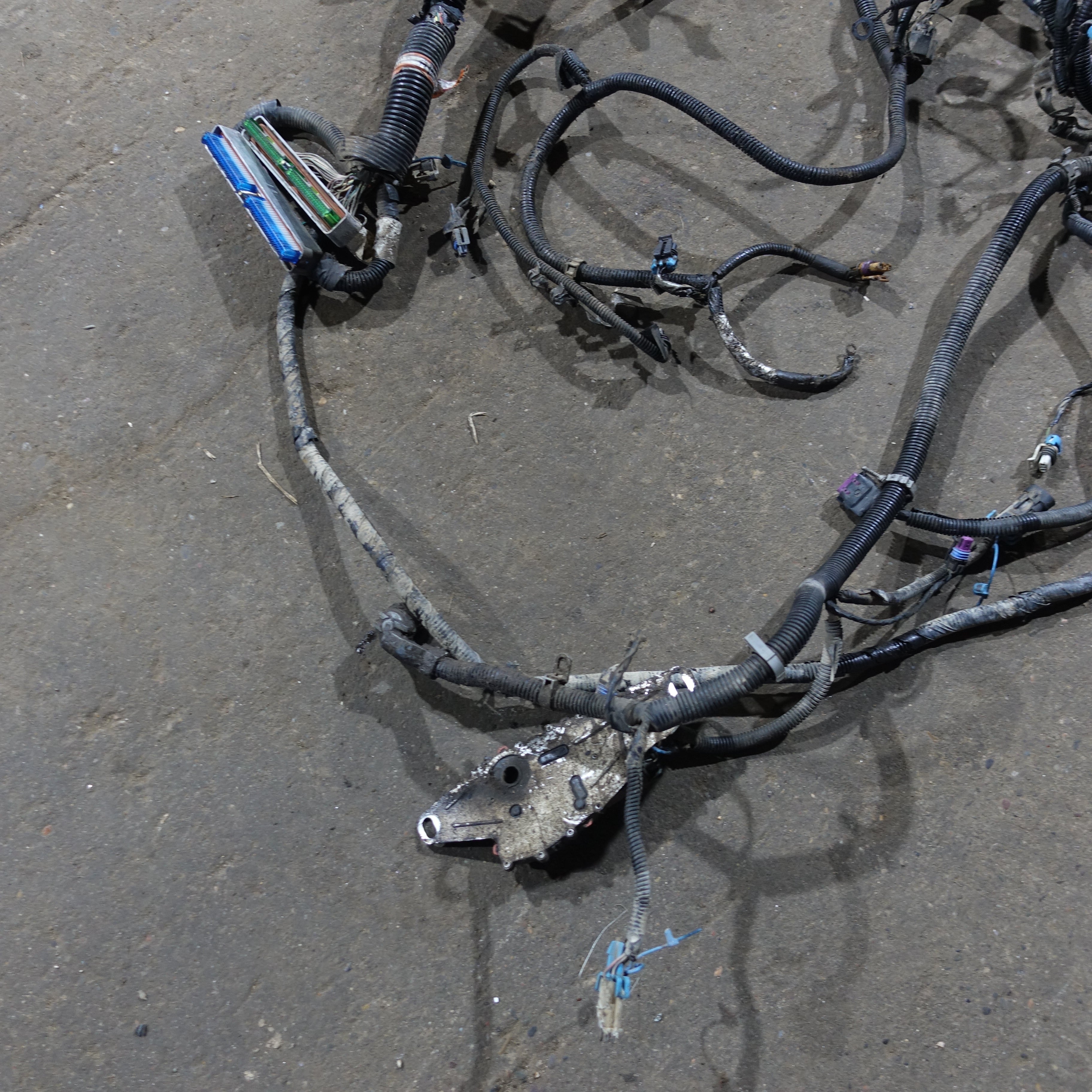 Damage 2003 Silverado Sierra 1500 HD 6.0L Engine Wire Harness Loom