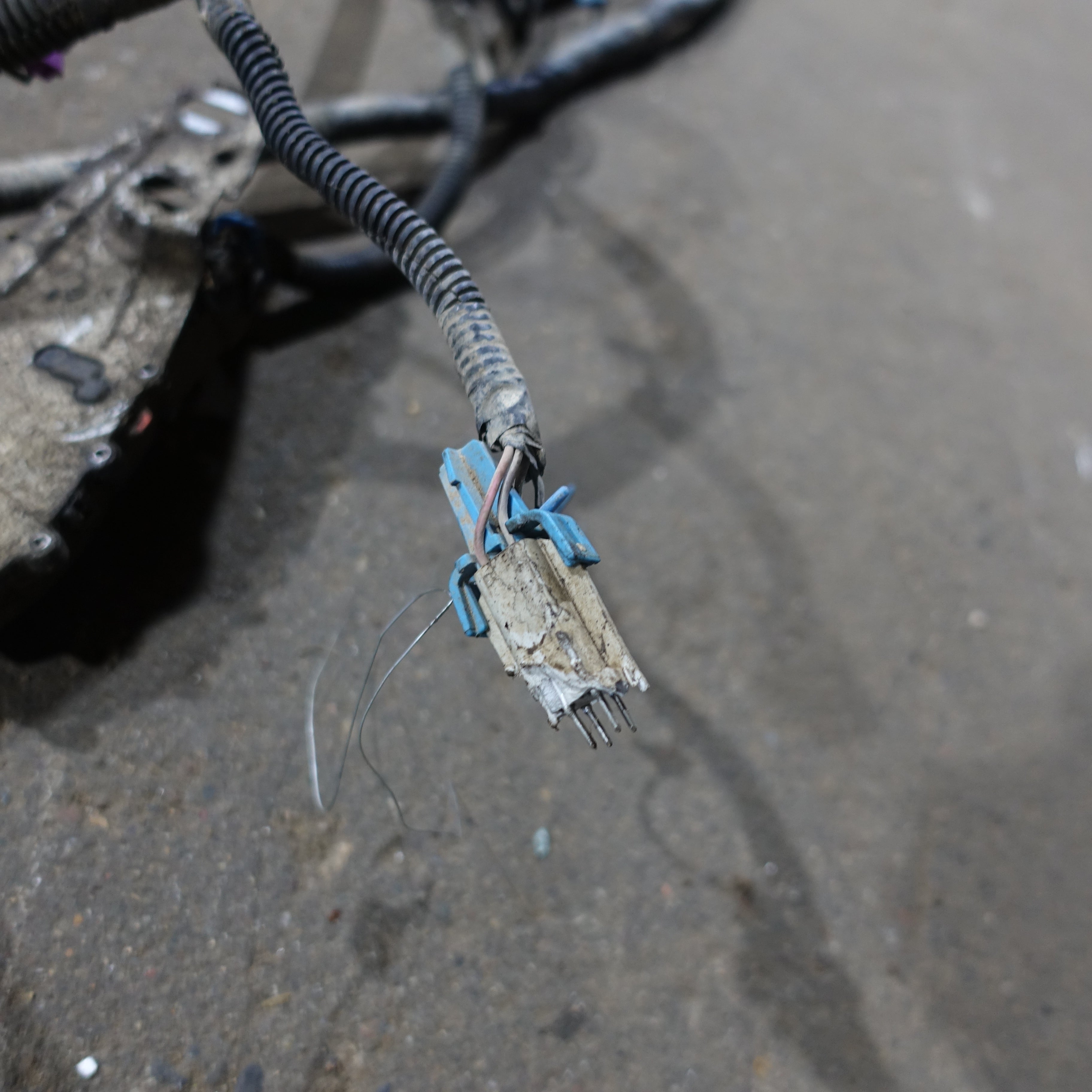 Damage 2003 Silverado Sierra 1500 HD 6.0L Engine Wire Harness Loom