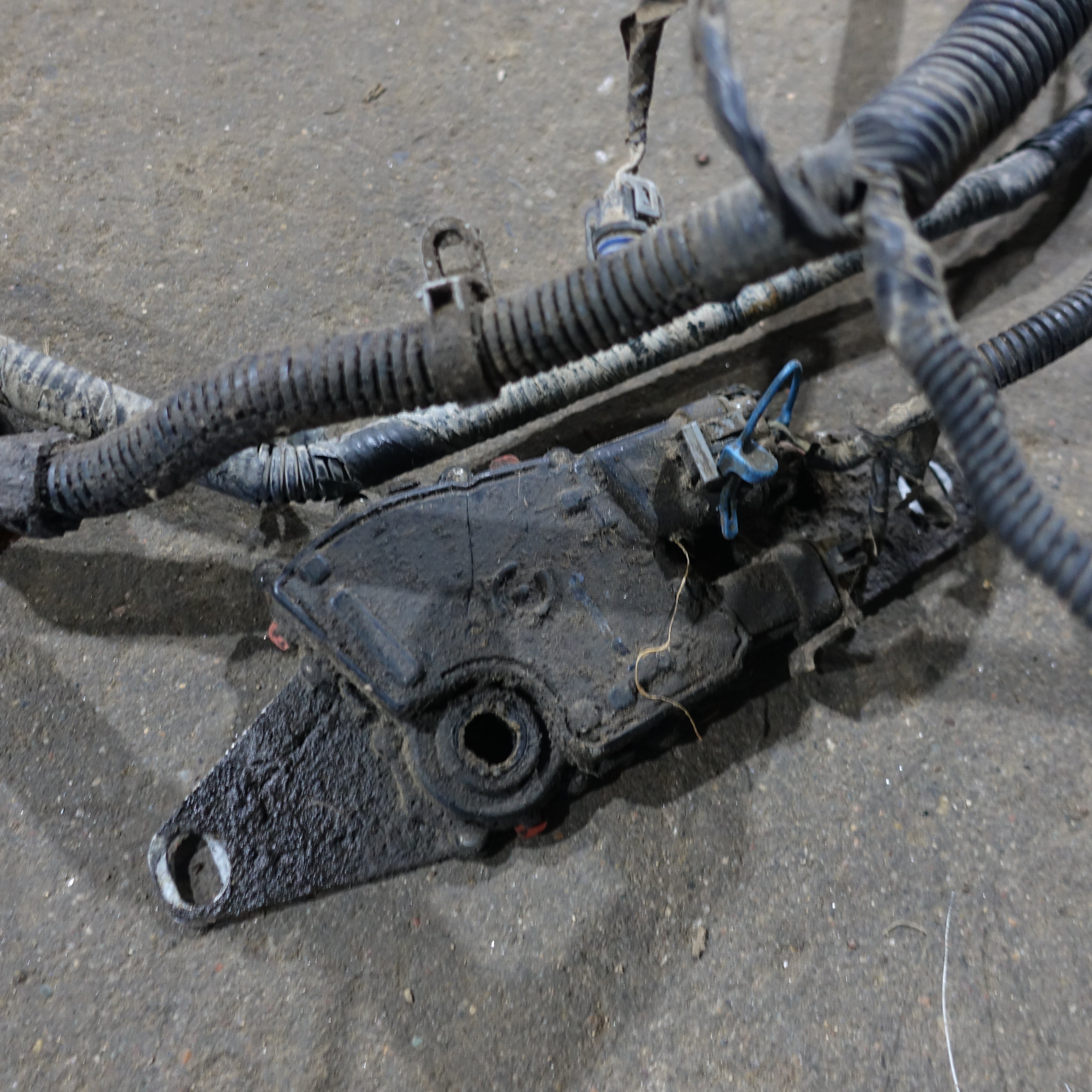 Damage 2003 Silverado Sierra 1500 HD 6.0L Engine Wire Harness Loom
